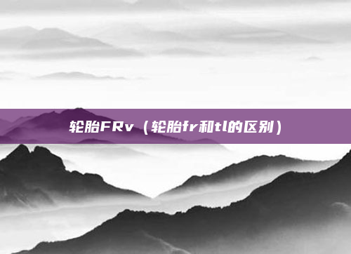轮胎FRv(轮胎fr和tl的区别)