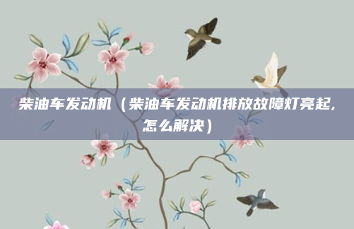 柴油车发动机(柴油车发动机排放故障灯亮起,怎么解决)