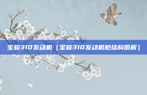 宝骏310发动机（宝骏310发动机舱结构图解）