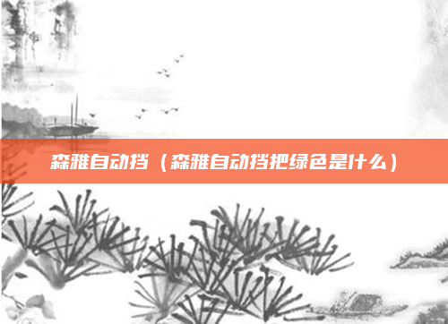 森雅自动挡(森雅自动挡把绿色是什么)