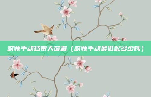 蔚领手动挡带天窗嘛(蔚领手动最低配多少钱)