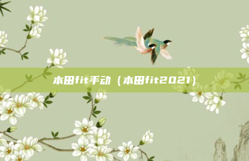 本田fit手动（本田fit2021）
