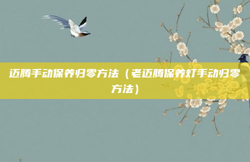 迈腾手动保养归零方法（老迈腾保养灯手动归零方法）