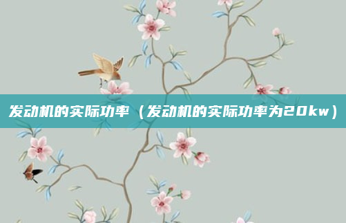 发动机的实际功率(发动机的实际功率为20kw)