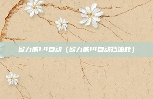 欧力威1.4自动（欧力威14自动挡油耗）