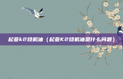起亚k2烧机油(起亚K2烧机油是什么问题)