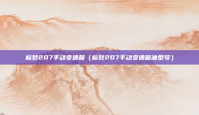 标致207手动变速箱(标致207手动变速箱油型号)