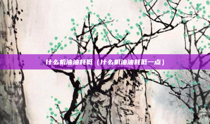 什么机油油耗低（什么机油油耗低一点）