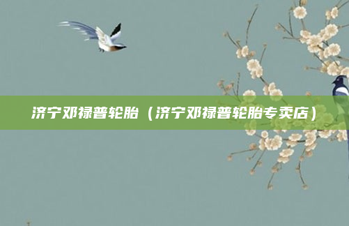 济宁邓禄普轮胎（济宁邓禄普轮胎专卖店）
