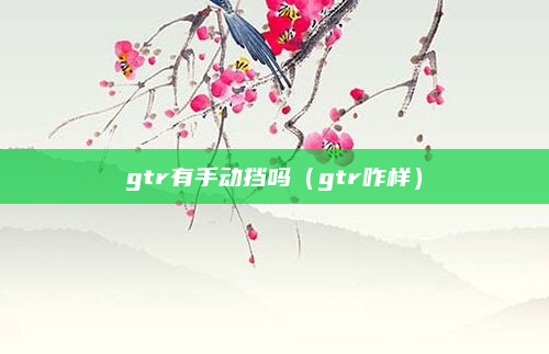 gtr有手动挡吗(gtr咋样)