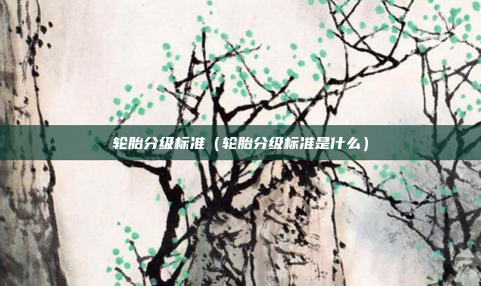 轮胎分级标准(轮胎分级标准是什么)