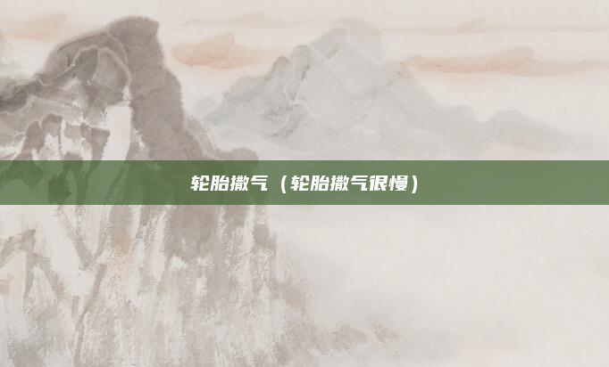 轮胎撒气(轮胎撒气很慢)