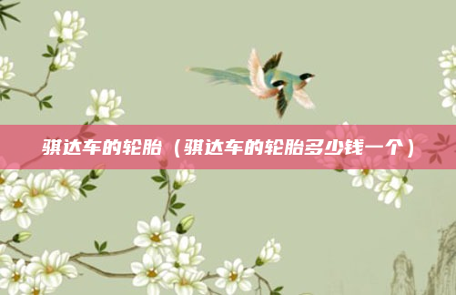 骐达车的轮胎(骐达车的轮胎多少钱一个)