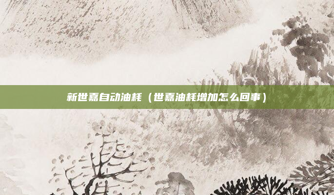 新世嘉自动油耗（世嘉油耗增加怎么回事）