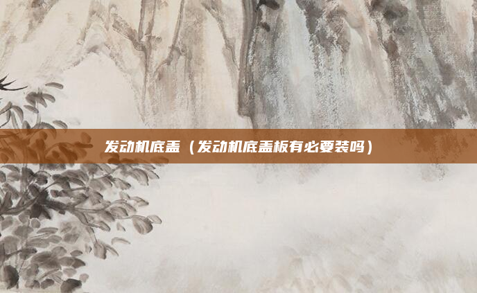 发动机底盖（发动机底盖板有必要装吗）