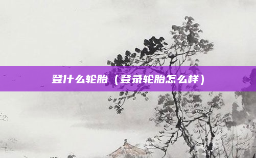 登什么轮胎（登录轮胎怎么样）