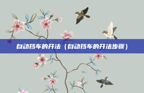 自动挡车的开法（自动挡车的开法步骤）