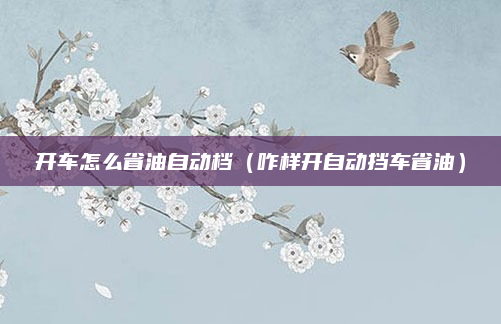 开车怎么省油自动档（咋样开自动挡车省油）