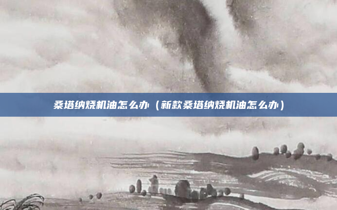 桑塔纳烧机油怎么办（新款桑塔纳烧机油怎么办）