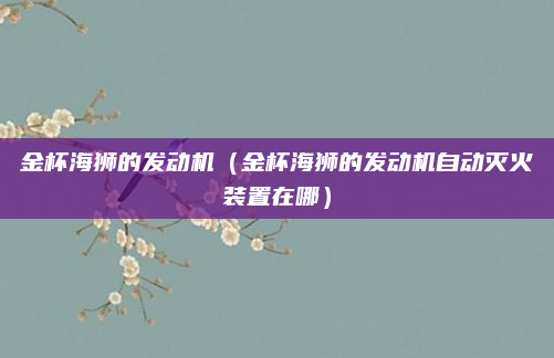 金杯海狮的发动机(金杯海狮的发动机自动灭火装置在哪)