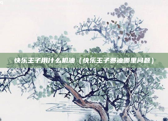 快乐王子用什么机油（快乐王子费油哪里问题）