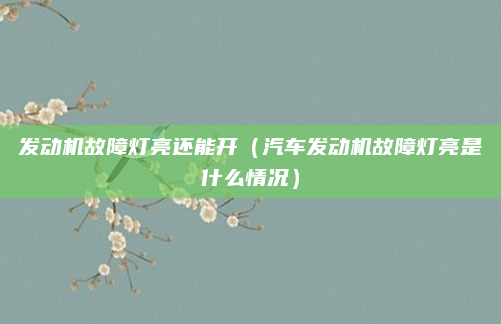 发动机故障灯亮还能开（汽车发动机故障灯亮是什么情况）