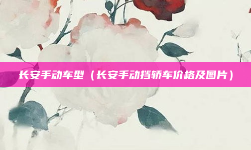长安手动车型（长安手动挡轿车价格及图片）