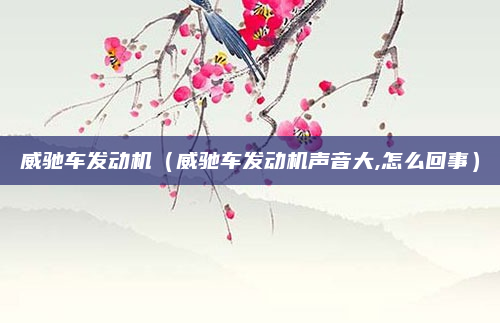 威驰车发动机（威驰车发动机声音大,怎么回事）