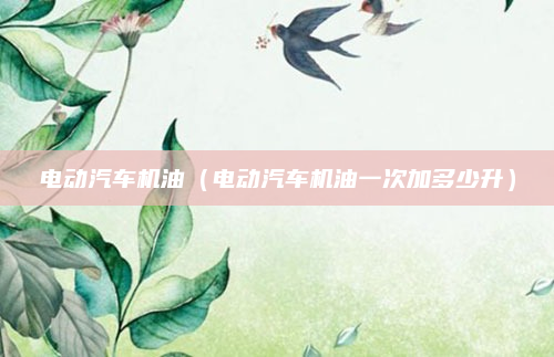 电动汽车机油（电动汽车机油一次加多少升）