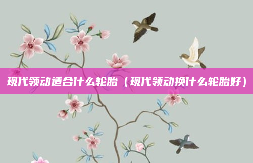 现代领动适合什么轮胎（现代领动换什么轮胎好）