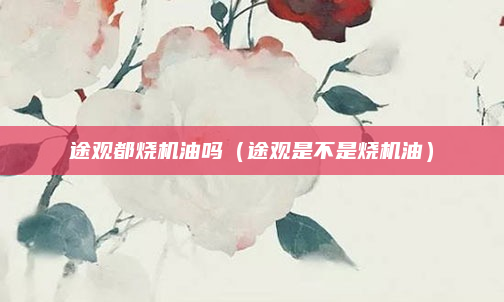 途观都烧机油吗（途观是不是烧机油）