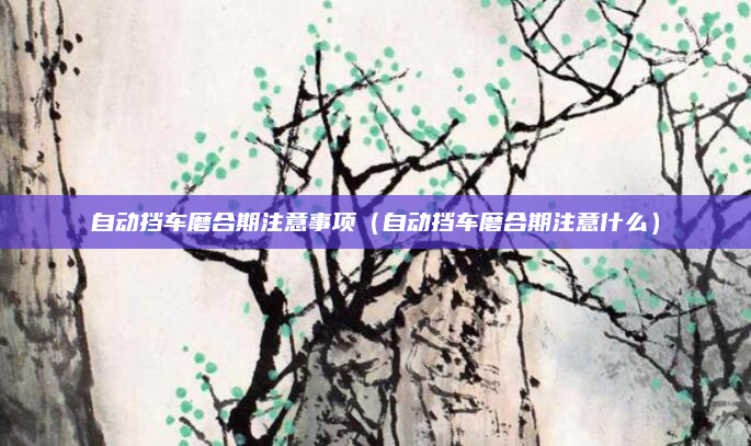 自动挡车磨合期注意事项（自动挡车磨合期注意什么）