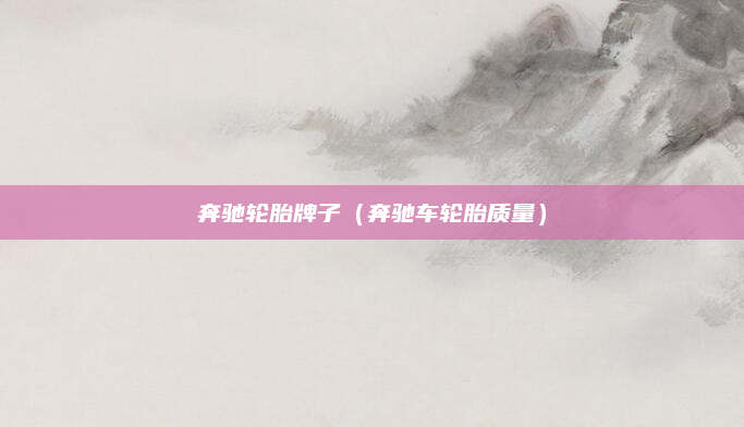 奔驰轮胎牌子（奔驰车轮胎质量）