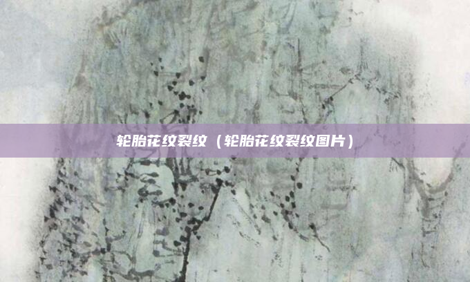 轮胎花纹裂纹（轮胎花纹裂纹图片）