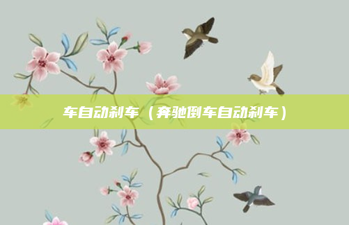 车自动刹车（奔驰倒车自动刹车）