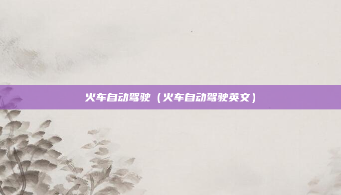 火车自动驾驶（火车自动驾驶英文）