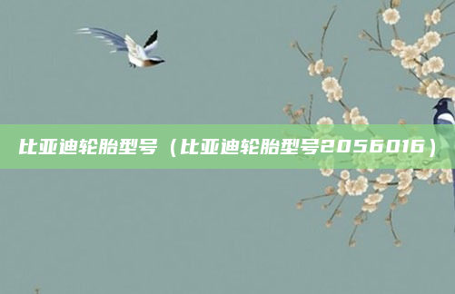 比亚迪轮胎型号（比亚迪轮胎型号2056016）