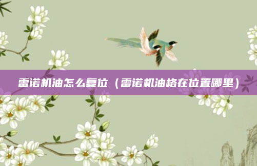 雷诺机油怎么复位（雷诺机油格在位置哪里）