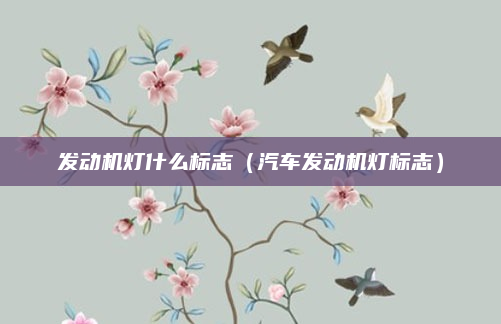 发动机灯什么标志（汽车发动机灯标志）