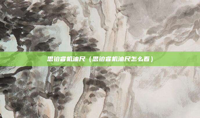 思铂睿机油尺（思铂睿机油尺怎么看）