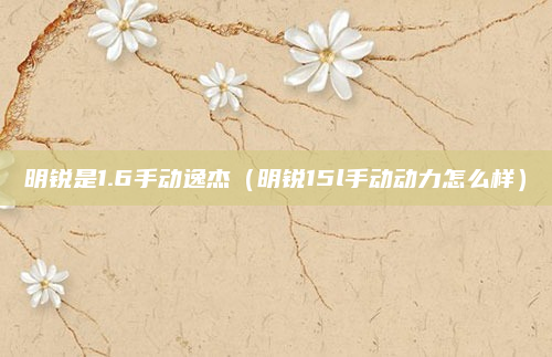 明锐是1.6手动逸杰（明锐15l手动动力怎么样）