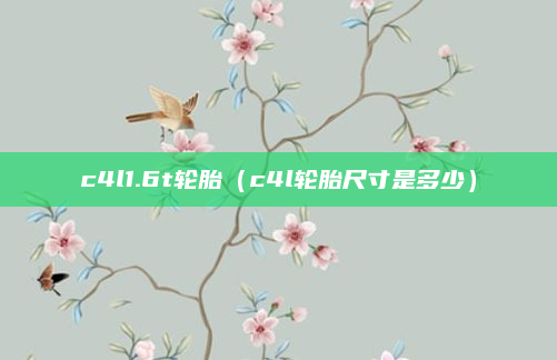 c4l1.6t轮胎(c4l轮胎尺寸是多少)
