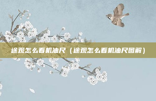 途观怎么看机油尺(途观怎么看机油尺图解)