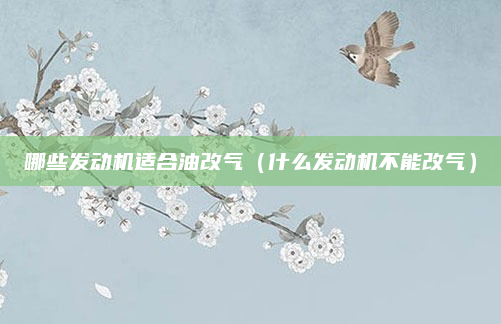 哪些发动机适合油改气（什么发动机不能改气）
