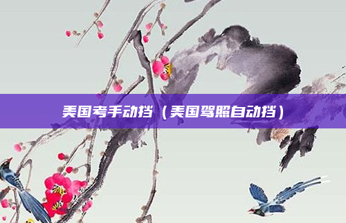 美国考手动挡(美国驾照自动挡)