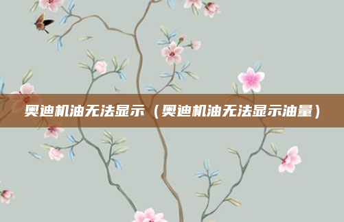 奥迪机油无法显示(奥迪机油无法显示油量)