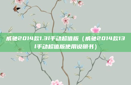 威驰2014款1.3l手动超值版（威驰2014款13l手动超值版使用说明书）