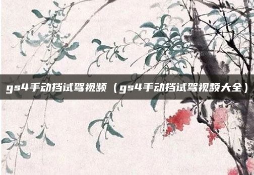 gs4手动挡试驾视频(gs4手动挡试驾视频大全)