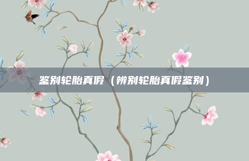 鉴别轮胎真假(辨别轮胎真假鉴别)