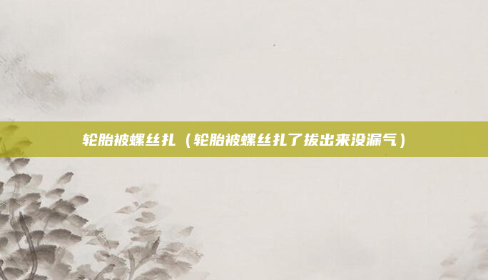 轮胎被螺丝扎（轮胎被螺丝扎了拔出来没漏气）